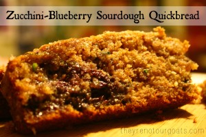 Zucchini Blueberry Sourdough