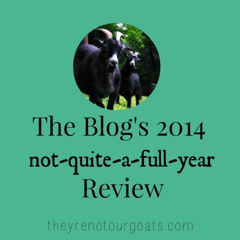 2014 review