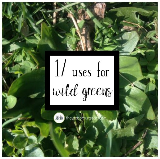 Here are 17 ways to use the weeds in your yard!