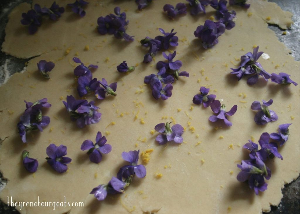 Violets and lemon zest on top of shortbread cookie dough rolled out to 1/4" thickness.